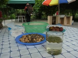 杭州　日本茶の原点を見に行く　（4）　杭州　梅家烏鎮　再び