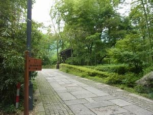 杭州　日本茶の原点を見に行く　（3）　杭州　中天竺　法浄禅寺