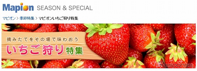 マピオン・いちご狩り特集