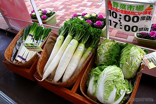 E-NEXCO野菜市場