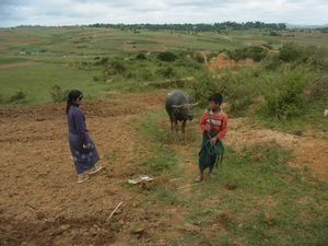 懐かしのミャンマーを行く　（23）　ミャンマー　平地に炭鉱が