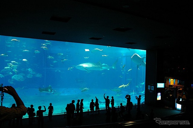 沖縄美ら海水族館