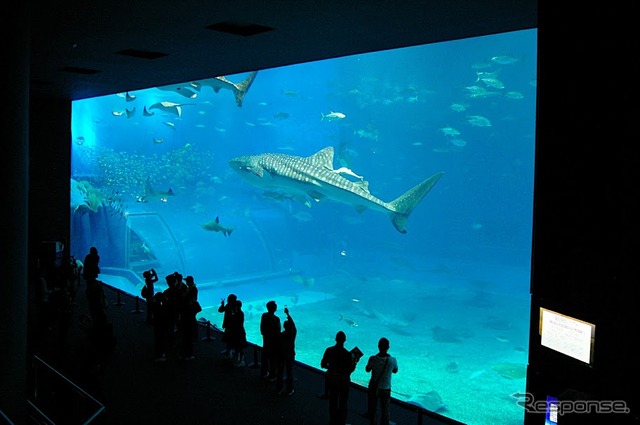 沖縄美ら海水族館