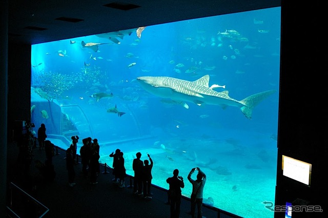 沖縄美ら海水族館