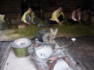 懐かしのミャンマーを行く　（27）　ミャンマー　 ビンダヤ山中のラペソー