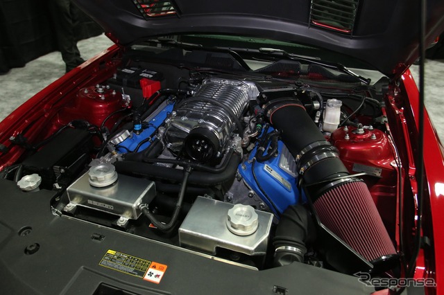 シェルビー GT500 スーパースネークのワイドボディ(デトロイトモーターショー13)