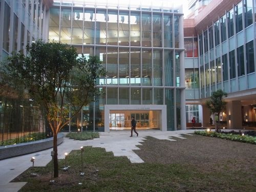 香港島暮らし2013（1月22日）　変わっちゃった香港大学