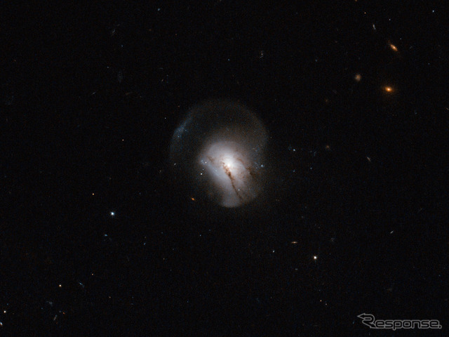2MASX J09442693+0429569 銀河