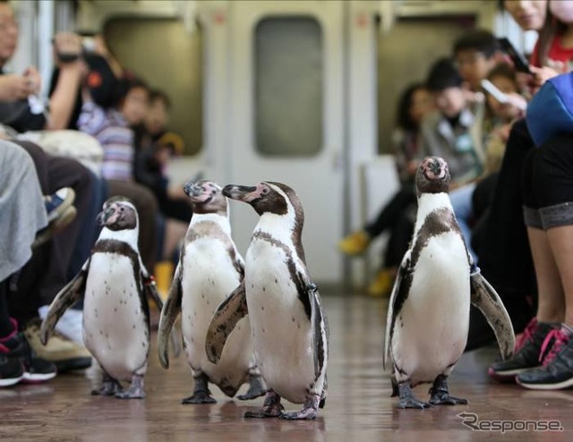 近鉄・ペンギン列車