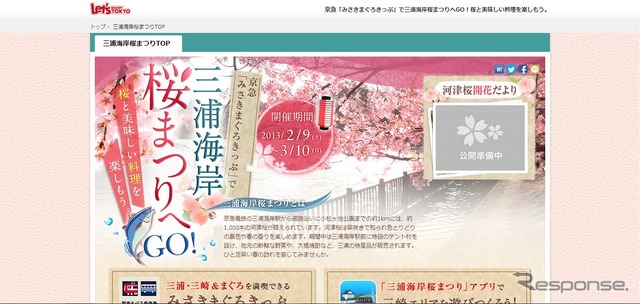 三浦海岸桜まつり