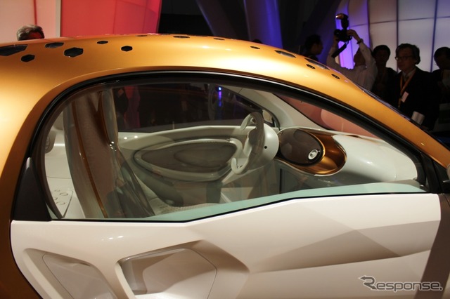 smart forvision