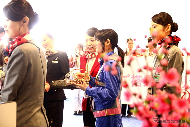 JAL ひなまつりフライト(2013年3月3日 羽田空港)