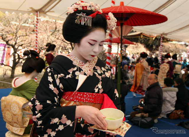 京都の芸者