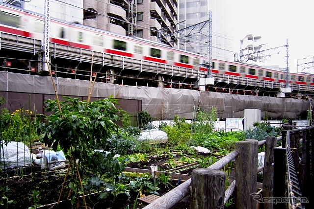 2013年3月15日までの東横線渋谷~代官山間(地上区間)
