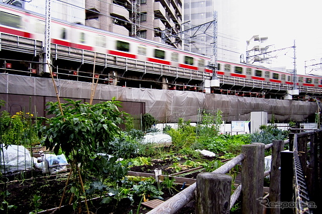 2013年3月15日までの東横線渋谷～代官山間（地上区間）