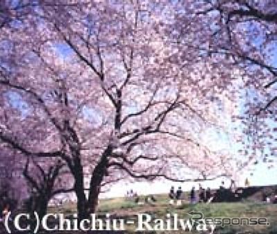 お花見列車