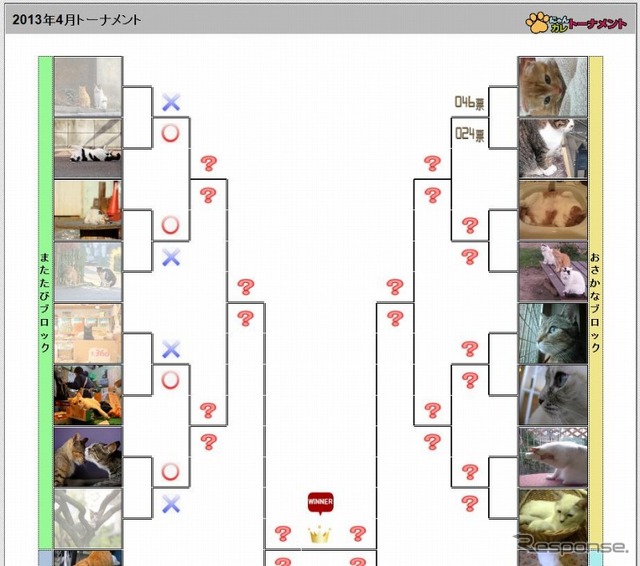 JAF・世界一かわいいっ！猫ごよみ作ろうプロジェクト