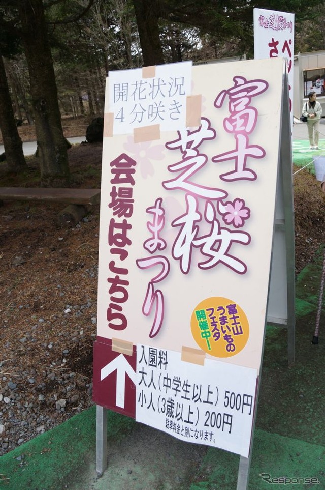 芝桜と富士山の競演、ゴールデンウィークに見頃