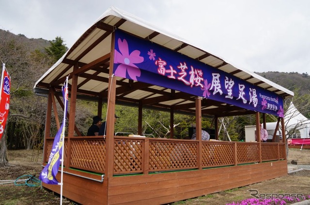芝桜と富士山の競演、ゴールデンウィークに見頃