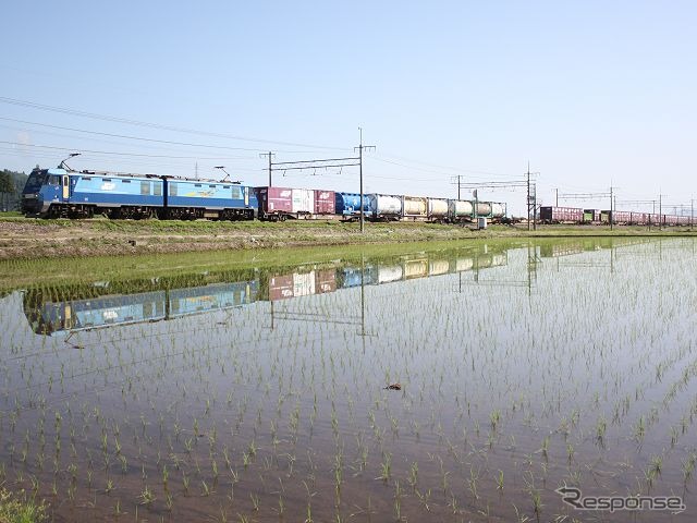 水田に映えるコンテナ車20両編成の上り貨物列車。東海道新幹線の16両編成とほぼ同じ長さのため、あらかじめ画角をよく考えて撮影しないと写真のように最後尾が切れてしまうほどだ。(上越線塩沢~六日町)