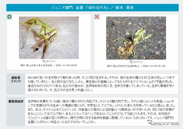 昭和シェル・環境フォトコンテスト「わたしのまちの○と×」