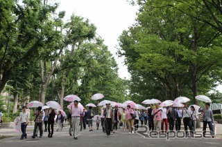 2012年の東京傘開きの様子