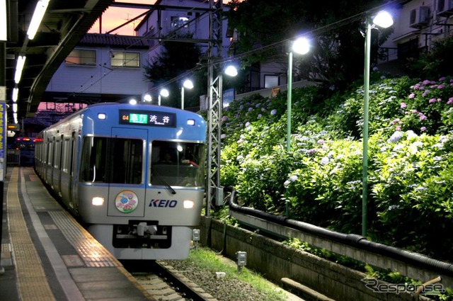 ライトアップされた東松原駅のアジサイ（2010年6月23日撮影）。