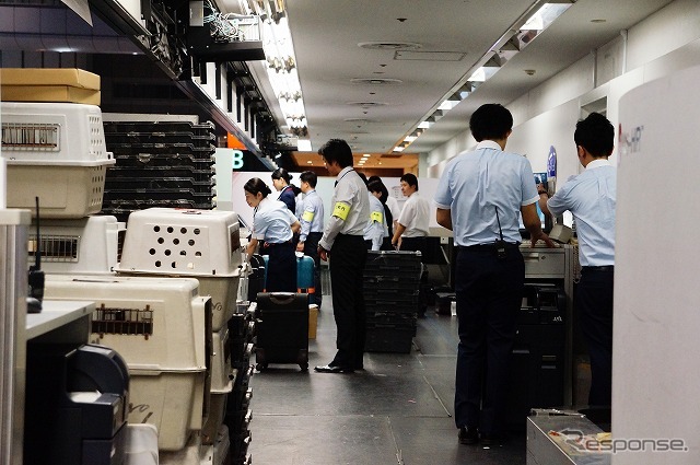 手荷物カウンターの裏側。多くのスタッフが行き交う。