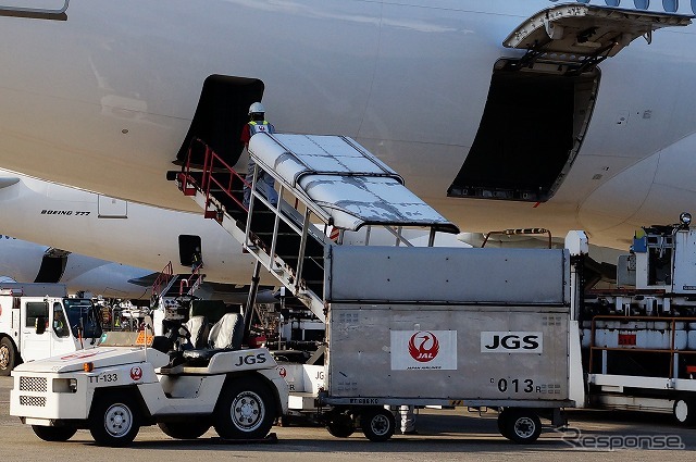 ボーイング777のバラ積みスペースは機体後方。コンテナに入らない大型荷物や、手荷物カウンターでの預け入れが間に合わなかったものが収められる。