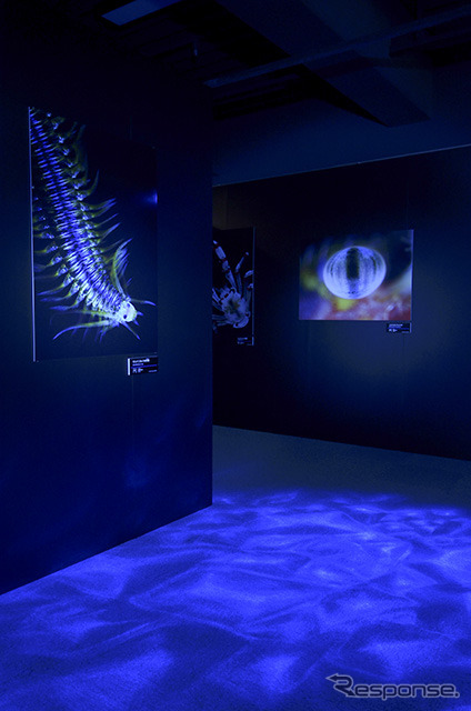 コニカミノルタプラザ「超・深海展」