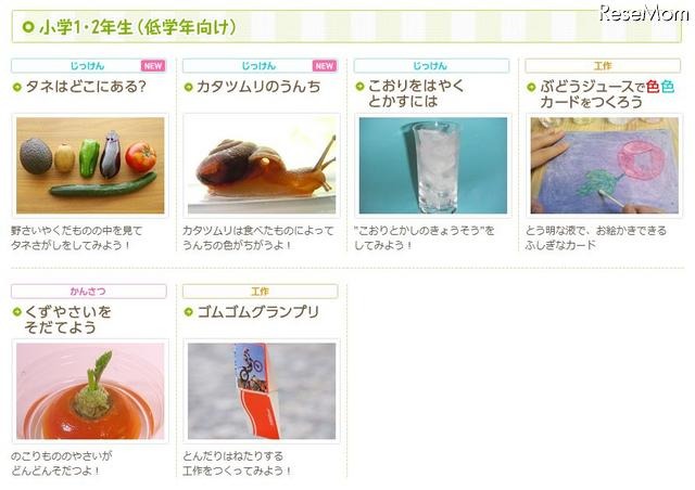 小学1・2年生（低学年向け）のコーナー