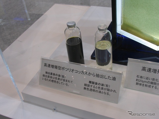 IHI　高速増殖型ボツリオコッカス