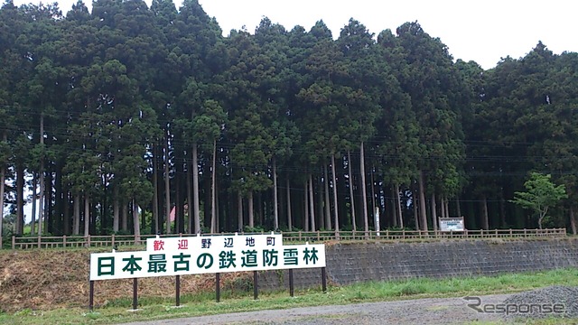 野辺地駅の南西側にある日本最古の鉄道防雪林。120周年を記念してライトアップが実施される。
