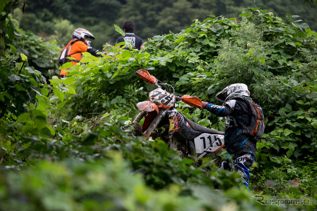 JNCCRd5 月山