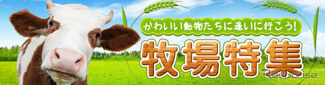 マピオン・牧場特集