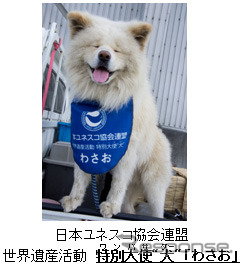 世界遺産・特別大使「わさお」