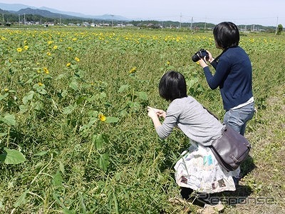 白石・丸森おでかけガイド