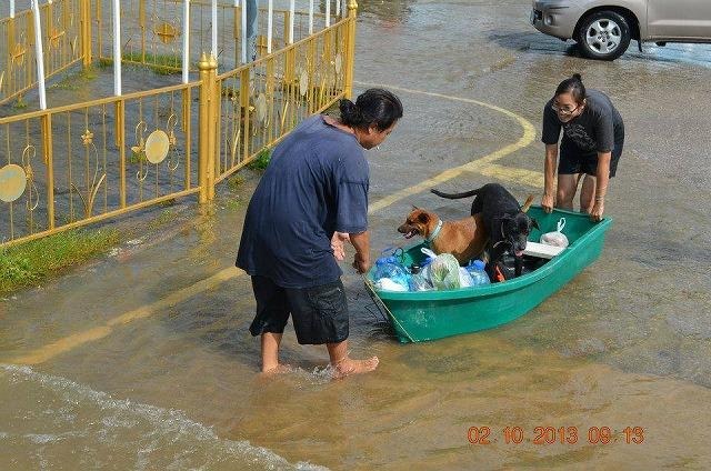 プラジンブリ県の洪水(2日)