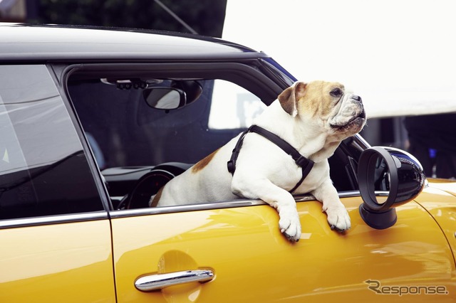 新型MINI ハッチバック のCM撮影シーン