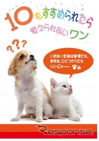 11月の「エコドライブ推進月間」に広報活動を展開