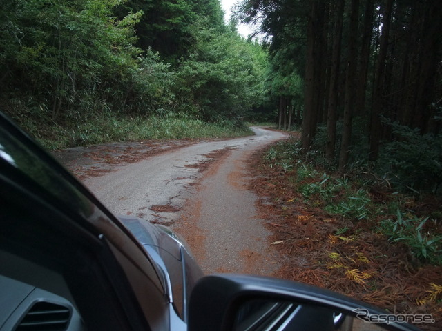 舗装がひび割れ、落木も散乱するなど荒れた路面。スイフトDJEのサスペンションはこういうシーンでは非常にしなやかで、常識的な速度域ではロードホールディングが失われるようなことはなかった。