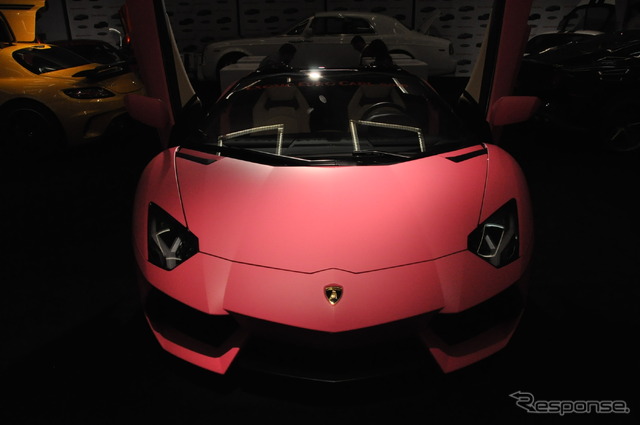ランボルギー二 アヴェンタドールのカスタムカー