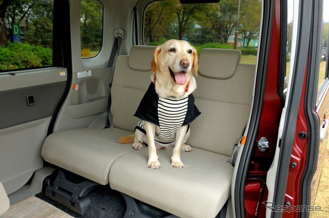座面がフラットで犬も安定して乗っていられる（走行中は、ケージ、犬用シートベルトなどの安全装置が不可欠だ）