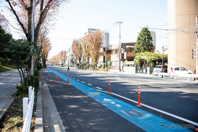 北浦和駅から埼玉大学方面へ伸びる埼大通りには自転車専用レーンを用意