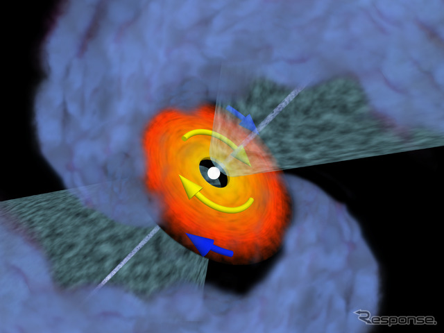 VLA1623Aの想像図。中心の赤ちゃん星の周囲にケプラー回転する円盤があり、原始星の両極方向には勢いよくガスが噴き出している。( N. Murillo et al. )