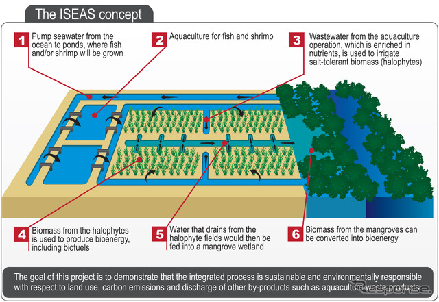 統合海水エネルギー及び農業システム（ISEAS)