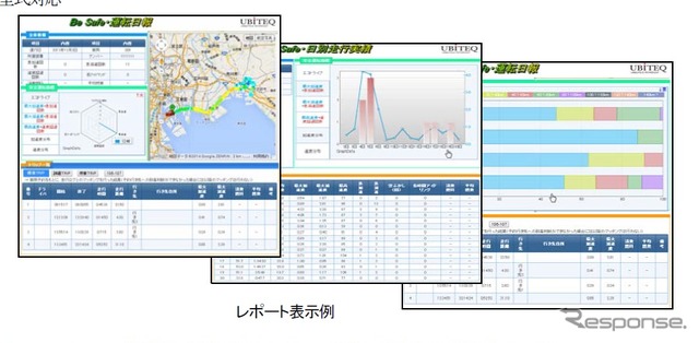 レポート表示例