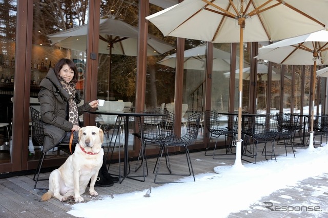 アウトランダーPHEVと愛犬の旅…雪景色の富士河口湖リゾートを満喫