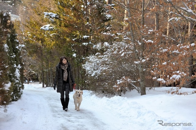 アウトランダーPHEVと愛犬の旅…雪景色の富士河口湖リゾートを満喫