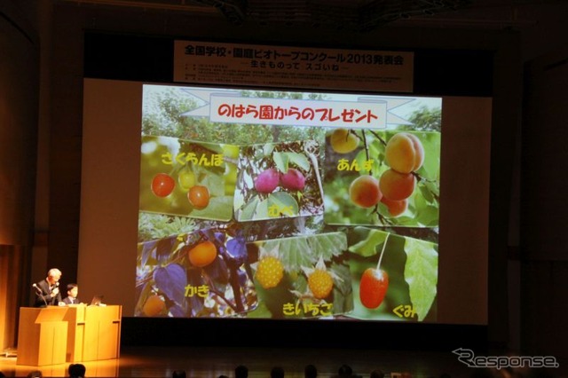 鹿児島県 錦が丘幼稚園の発表